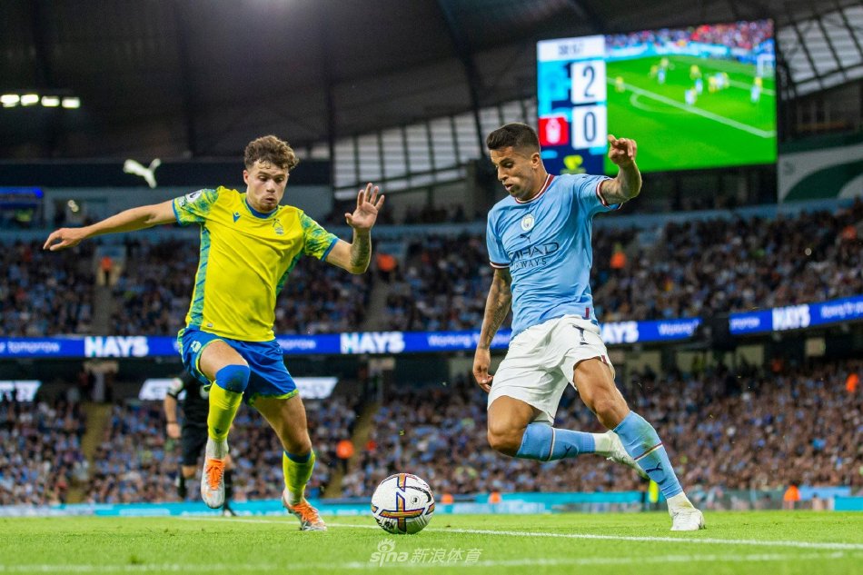 份的缩影 份的缩影